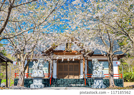 Spring scenery at Meiwa Shrine 117185562