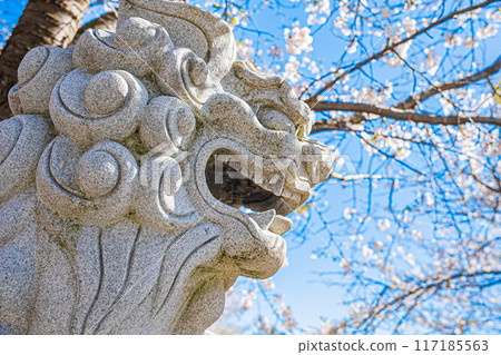 明和神社春天的景色 117185563