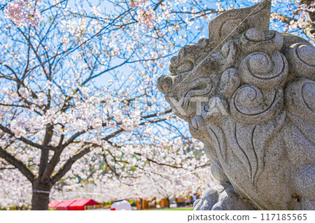 明和神社春天的景色 明和神社春天的景色 117185565
