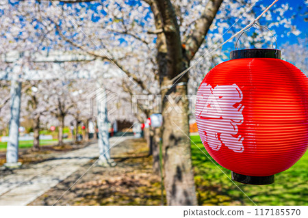 明和神社春天的景色 明和神社春天的景色 117185570