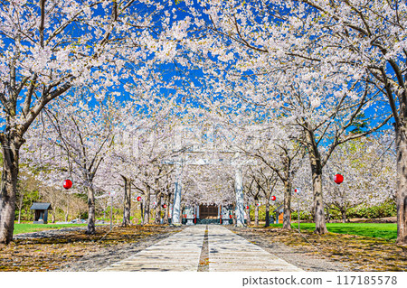 Spring scenery at Meiwa Shrine 117185578