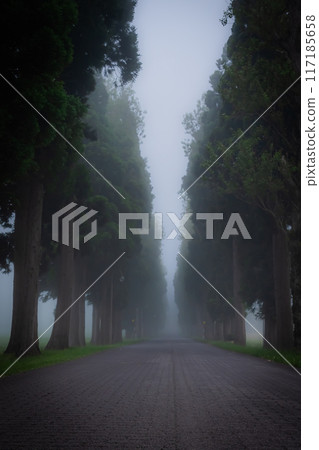 濃霧中的特拉普派修道院景觀 濃霧中的特拉普派修道院景觀 117185658