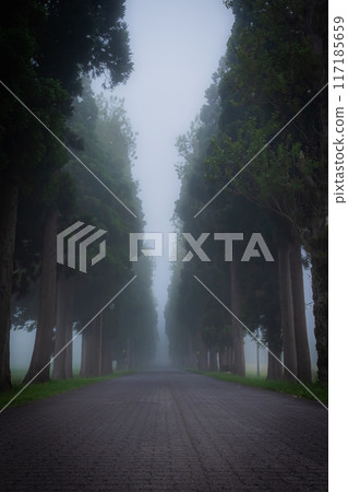 濃霧中的特拉普派修道院景觀 濃霧中的特拉普派修道院景觀 117185659