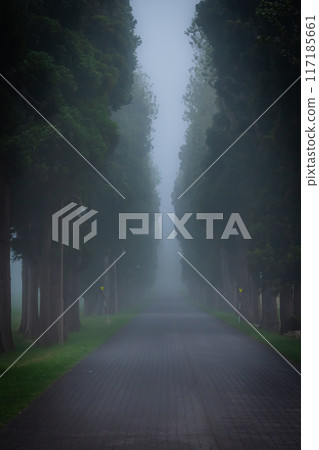 A view of a Trappist monastery in thick fog 117185661