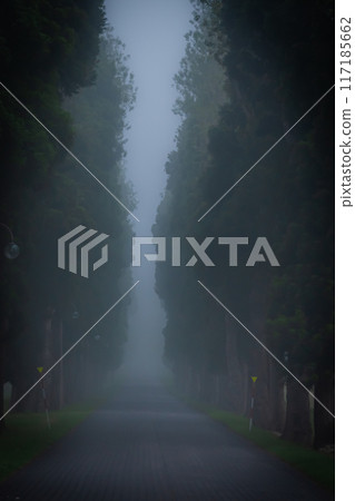 濃霧中的特拉普派修道院景觀 濃霧中的特拉普派修道院景觀 117185662