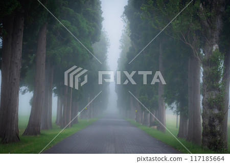 濃霧中的特拉普派修道院景觀 濃霧中的特拉普派修道院景觀 117185664