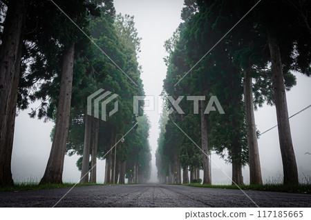 濃霧中的特拉普派修道院景觀 117185665