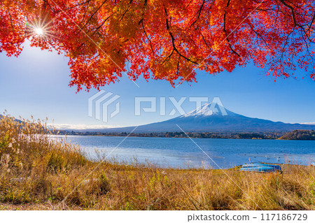 [富士山素材]秋天從河口湖看到的白雪皚皚的富士山和紅葉[山梨縣] 117186729