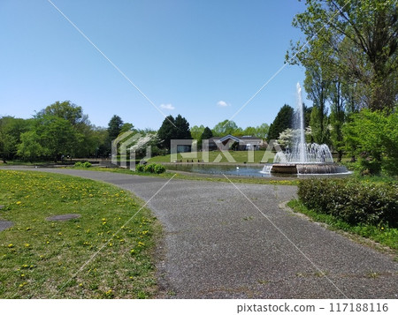 A park with a fountain 117188116