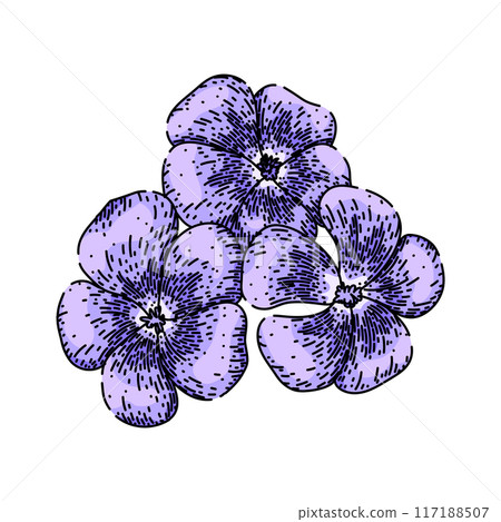 pink violet sketch hand drawn vector pink violet sketch hand drawn vector 117188507