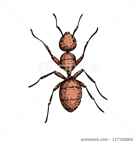 nest ant sketch hand drawn vector 117188868