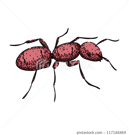 colony ant sketch hand drawn vector 117188869
