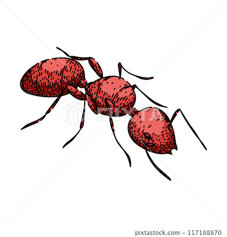soldier ant sketch hand drawn vector 117188870