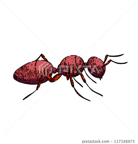 queen ant sketch hand drawn vector queen ant sketch hand drawn vector 117188873