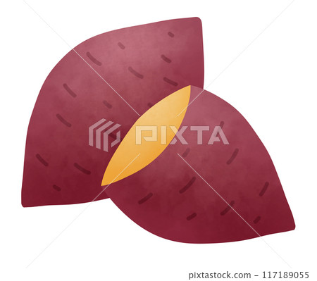 Illustration of two sets of sweet potatoes 117189055