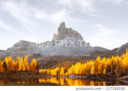 Bright orange larches glowing by first rays of sunrise light on Federa Lake 117189188