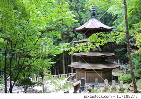 信州別所溫泉安樂寺僅存的八角三層塔。 117189275