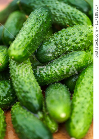 Freshly picked green cucumbers on the board background Freshly picked green cucumbers on the board background 117189317