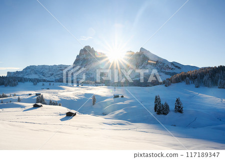 Sunny day at Alpe di Siusi meadow on winter time Sunny day at Alpe di Siusi meadow on winter time 117189347