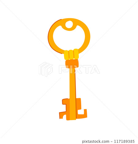 success golden key cartoon vector illustration 117189385