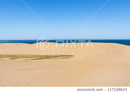 Tottori City, Tottori Prefecture Tottori's representative tourist spot Tottori Sand Dunes on a clear day (uninhabited) 117189624