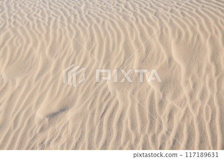 Tottori Sand Dunes, Tottori City, Tottori Prefecture Tottori Sand Dunes, Tottori City, Tottori Prefecture 117189631