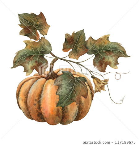 Orange realistic pumpkin with fall foliage and flower. Hand drawn watercolor botanical illustration. Suitable for decoration, cards, fall posters, Thanksgiving, Halloween, products, packaging 117189673