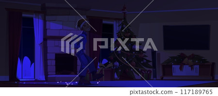 Male thief breaks into house on Christmas 117189765