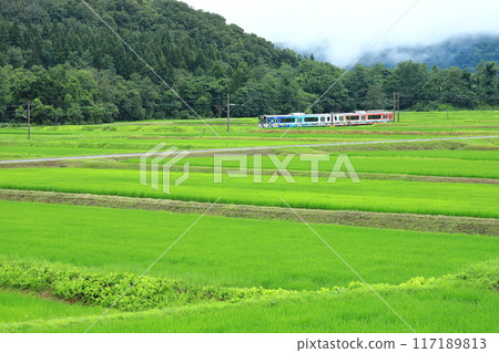 Myoko Haneuma Line "Train running through the summer countryside" 117189813