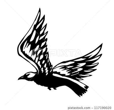 Vector drawing. Big flying bird Vector drawing. Big flying bird 117190020