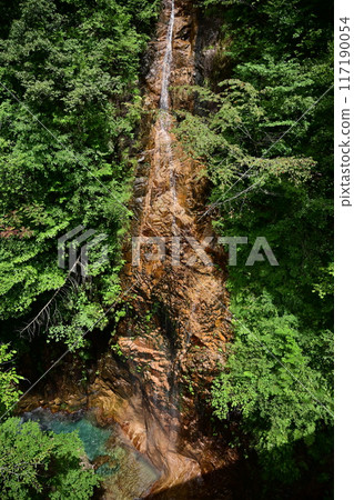 閃耀在新綠中的溪谷 117190054