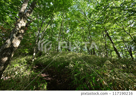 Climbing Mount Haruna, Gunma Prefecture Climbing Mount Haruna, Gunma Prefecture 117190216