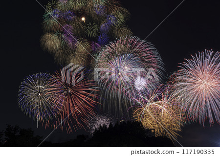 Todabashi Fireworks Festival 117190335