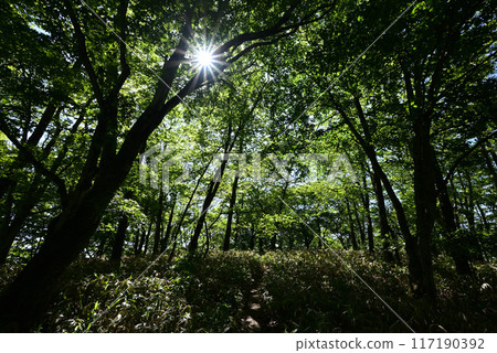 Climbing Mount Haruna, Gunma Prefecture Climbing Mount Haruna, Gunma Prefecture 117190392