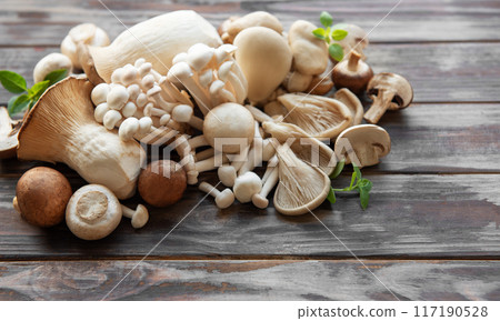 Assortment of various mushrooms 117190528