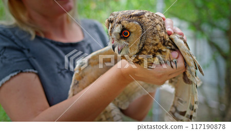 A woman holds a large owl on her arm, recovering from an injury at a wildlife sanctuary. 117190878