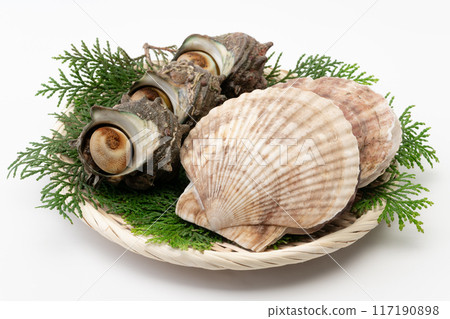 Seafood Platter of Turban Shells and Scallops Seafood Platter of Turban Shells and Scallops 117190898