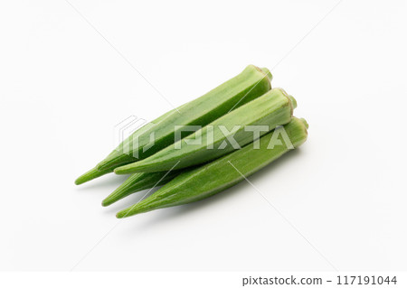 黃秋葵 黃秋葵 117191044