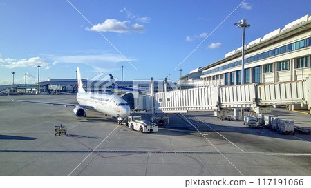 那霸市、那霸機場國內航廈和客機 那霸市、那霸機場國內航廈和客機 117191066