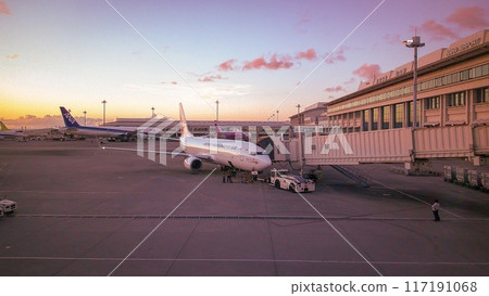 那霸市、那霸機場國內航廈和客機 那霸市、那霸機場國內航廈和客機 117191068
