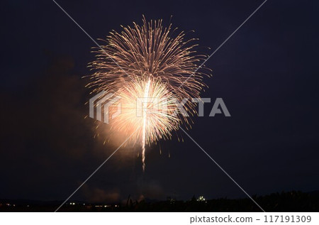 Oigawa Fireworks 240801pm7:19-3 117191309