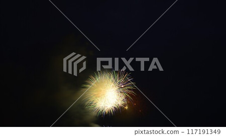Oigawa Fireworks 240801pm7:22-2 Oigawa Fireworks 240801pm7:22-2 117191349