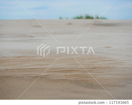 Rabjerg Mile - moving migrating coastal dune near Skagen, Denmark. Waves on the sand, close-up sand pattern 117191665