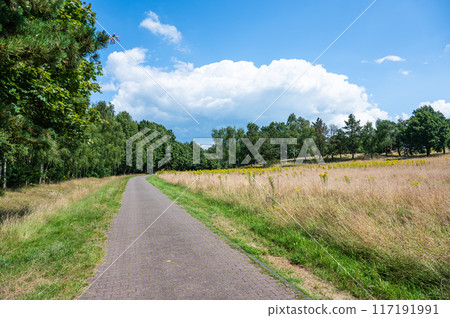 Asphalt country road through the meadows around Geeste-Dalum, Lower Saxony, Germany 117191991