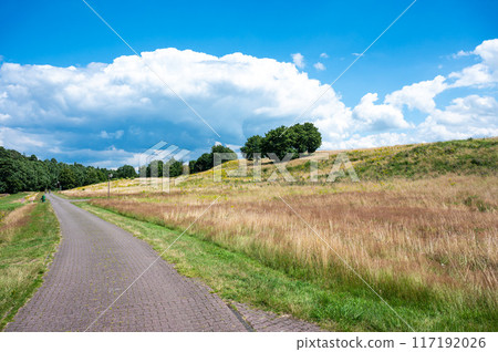 Asphalt country road through the meadows around Geeste-Dalum, Lower Saxony, Germany 117192026