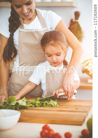 Happy woman and her daughter making healthy vegan salad and snacks for family feasting in sunny kitchen. Christmas, New year, Thanksgiving, Anniversary, Mothers Day. Healthy meal cooking concept Happy woman and her daughter making healthy vegan salad and snacks for family feasting in sunny kitchen. Christmas, New year, Thanksgiving, Anniversary, Mothers Day. Healthy meal cooking concept 117192609