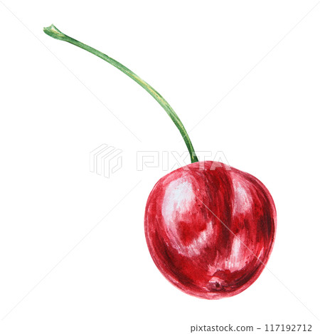Red cherry. Juicy hand drawn watercolor illustration. Delicious food art, fresh botanical realistic painting. Summer berry clipart for restaurant menu, prints, packaging of farm goods, vegan products 117192712