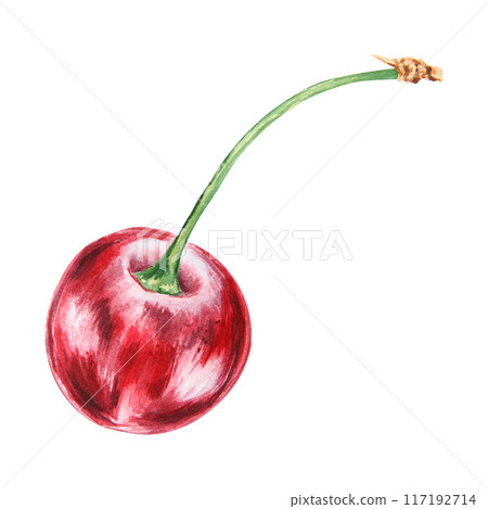 Red cherry. Juicy hand drawn watercolor illustration. Delicious food art, fresh botanical realistic painting. Summer berry clipart for restaurant menu, prints, packaging of farm goods, vegan products 117192714