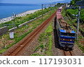 EF 510貨物 117193031