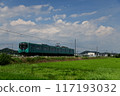 夏日天空中的加古川線103系列 117193032